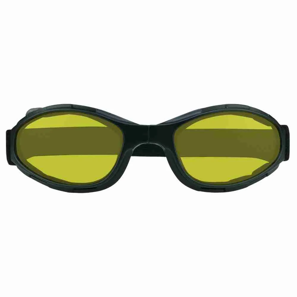 Bumblebee Yellow Front
