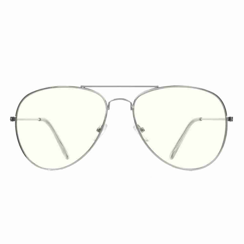 Goose Silver Front