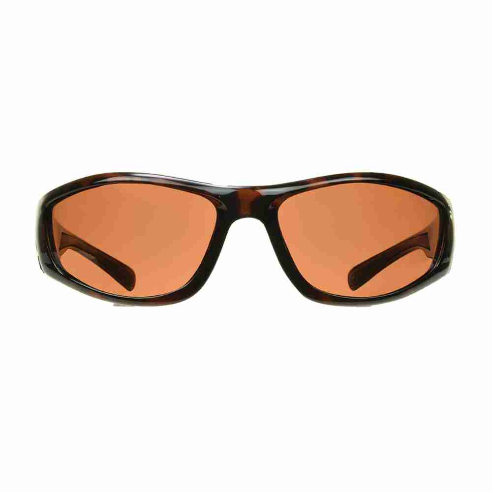 Formula1 Tortoise Front