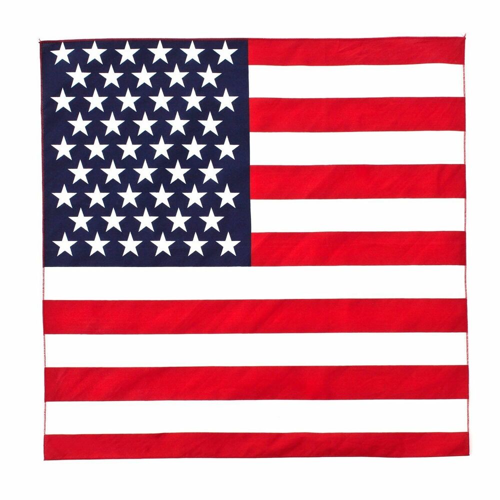 usa flag